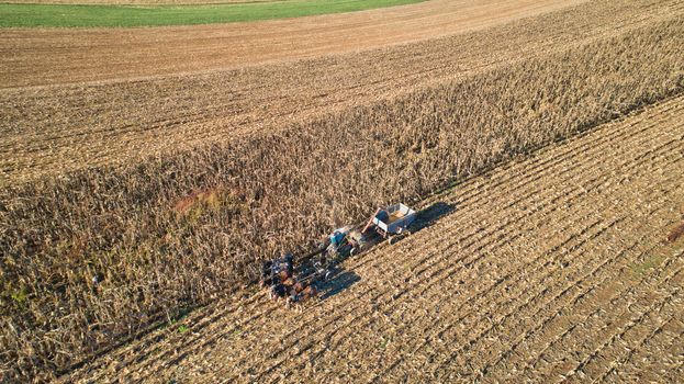 Aerial of an Amish farmer harvesting his corn with six horses pulling the harvester