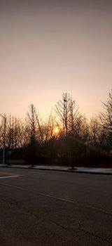 Sunset from between spikes of dry trees with road in the foreground during winters in south korea