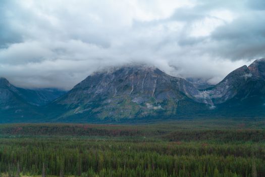 Mountains in the Hooker Icefield Range, including Brussels Peak, Mount Christie, Mount Fryatt, Canadian Rockies, Alberta, Canada