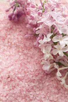 Lilac flower and bath pink salt flat lay background, tender background for wedding card