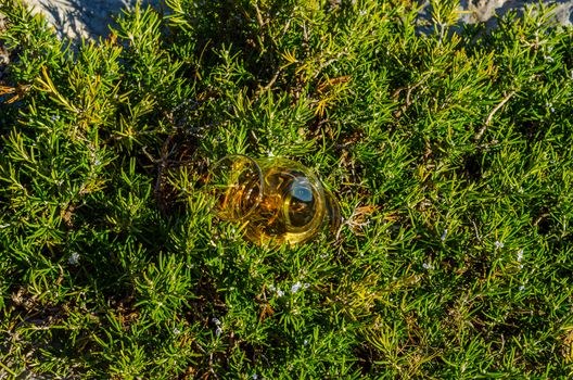 single malt whisky  in glass on plants on the rock, drink on a  natural stone, tasty set