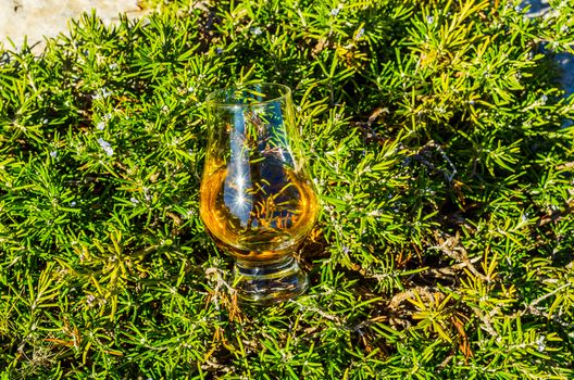 single malt whisky  in glass on plants on the rock, drink on a  natural stone, tasty set