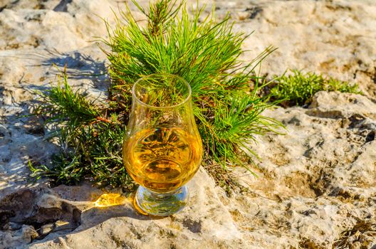 single malt whisky  in glass on plants on the rock, drink on a  natural stone, tasty set