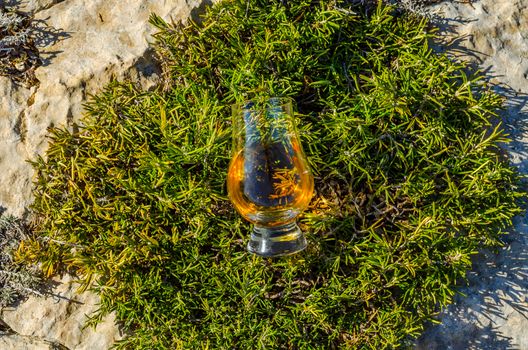 single malt whisky  in glass on plants on the rock, drink on a  natural stone, tasty set