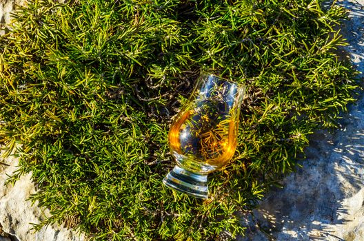 single malt whisky  in glass on plants on the rock, drink on a  natural stone, tasty set