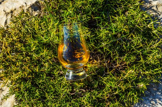 single malt whisky  in glass on plants on the rock, drink on a  natural stone, tasty set
