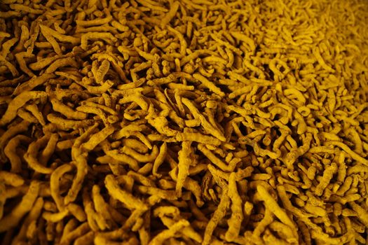 Raw Turmeric Roots