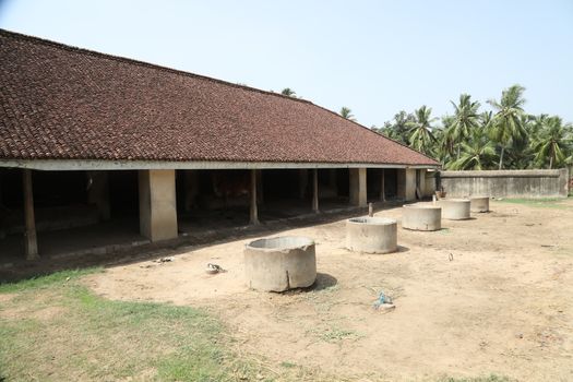 Holiday Resort India
