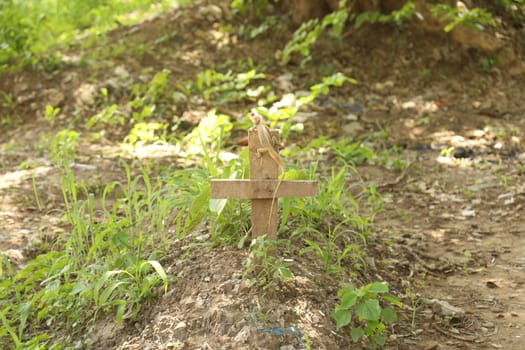 Rural area India
