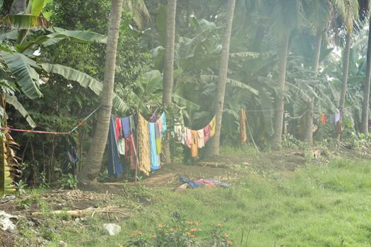 Rural area India