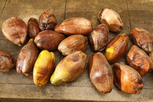 Closeup of a Coconuts