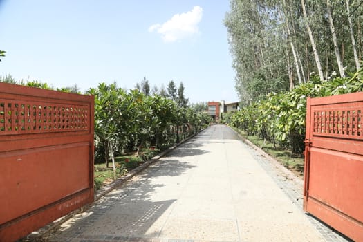 Holiday Resort India