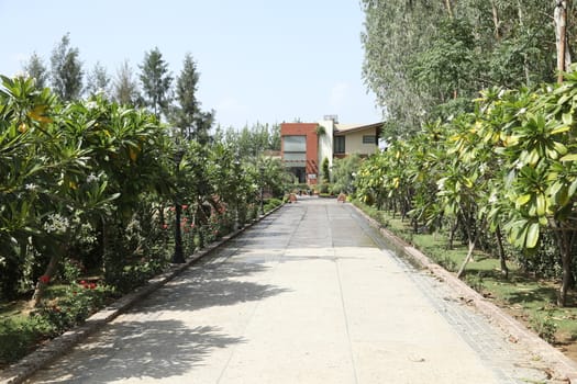 Holiday Resort India