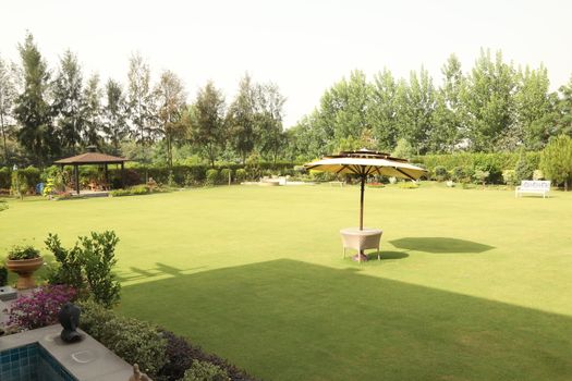 Rural area India