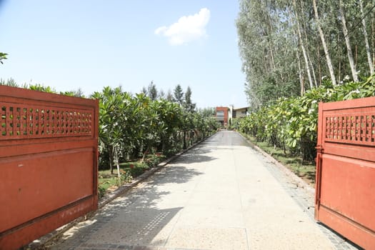 Holiday Resort India