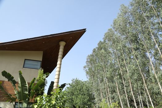 Holiday Resort India