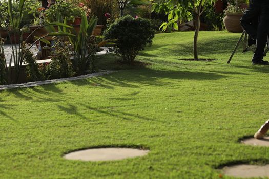 Holiday Resort India