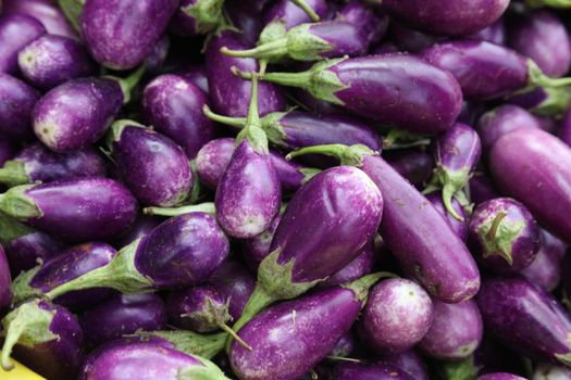 Vegetables close up