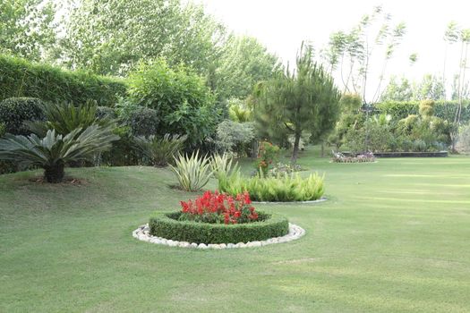 Holiday Resort India
