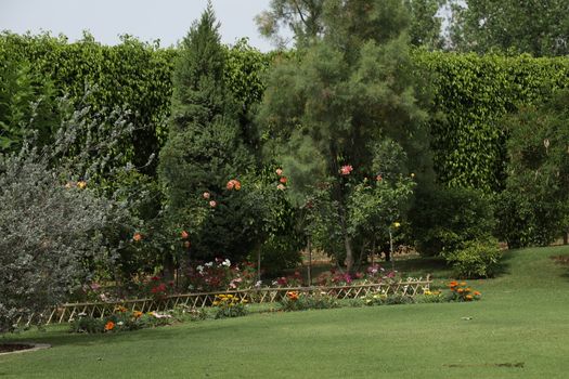 Holiday Resort India