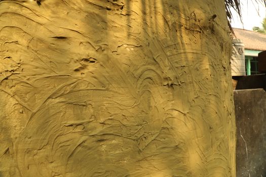 Mud wall Texture at Rural area