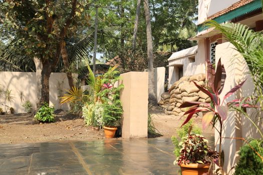 Rural area India