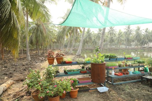 Rural area India