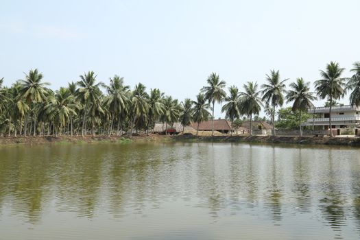 Green Fields Kerala India