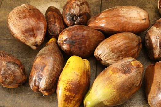 Closeup of a Coconuts