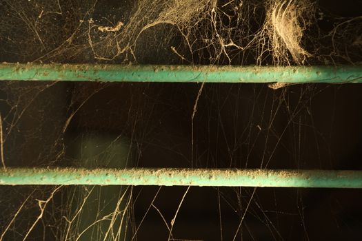 Scary Spider web