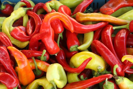 Red chilies closeup