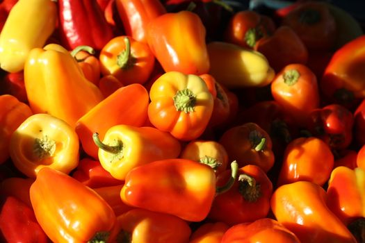 Red chilies closeup