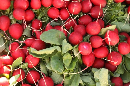 Indian Medicated Fruits