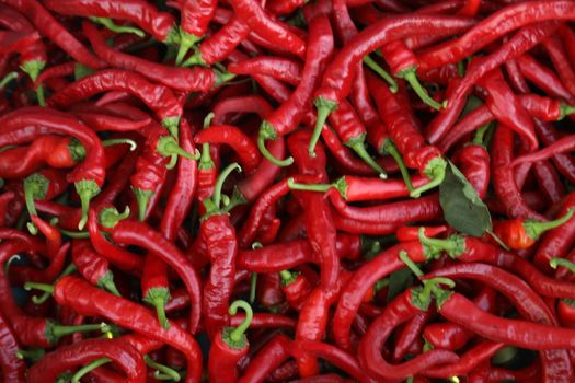 Red chilies closeup