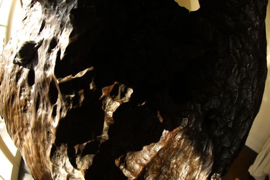 Abstract Wood Texture