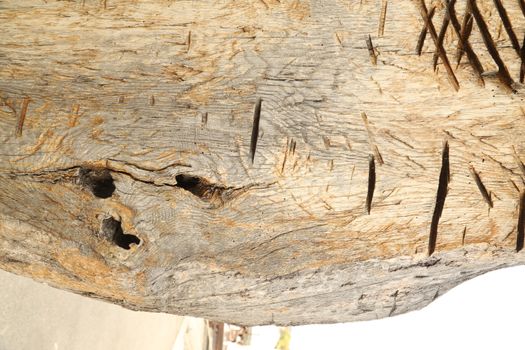 Abstract Wood Texture