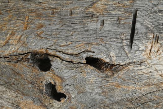 Abstract Wood Texture