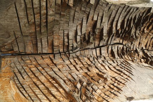 Abstract Wood Texture