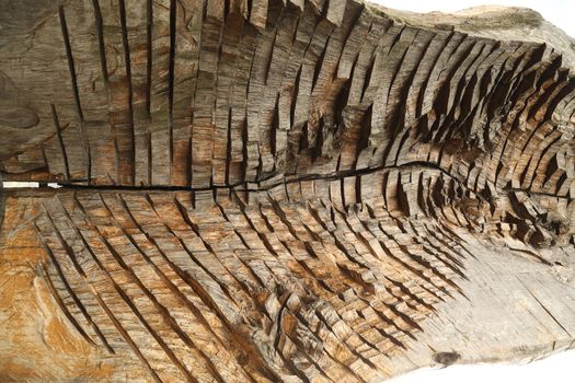 Abstract Wood Texture