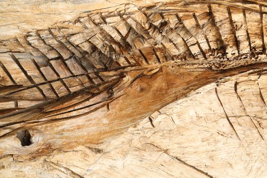 Abstract Wood Texture