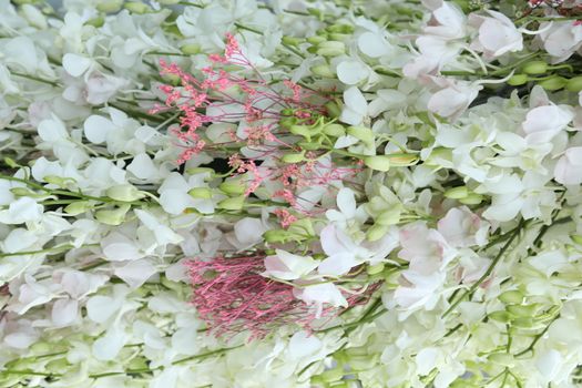 Flowers decoration at function