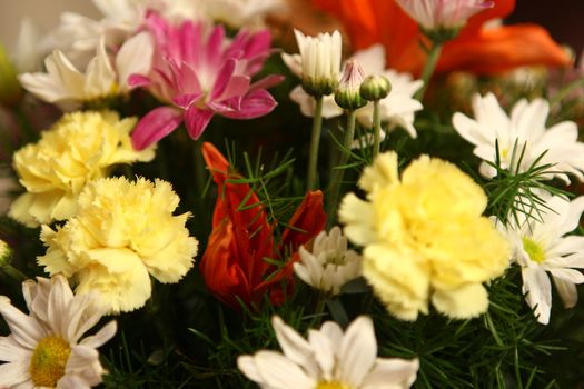 closeup shot of flowers