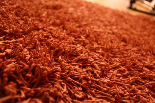 Carpet Macro shot