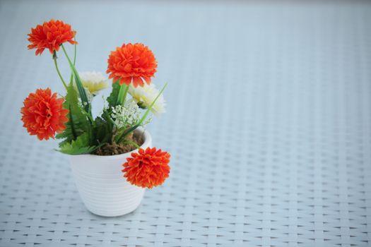 Closeup shot of Flowers