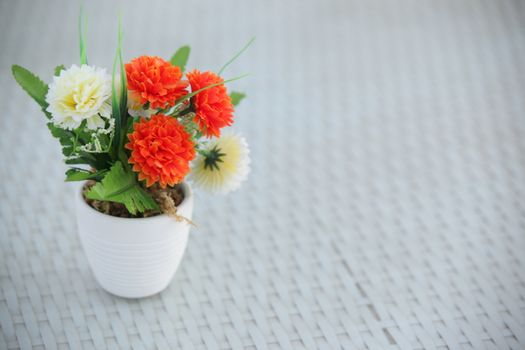 Closeup shot of Flowers