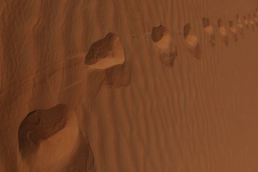 Dry sand in the desert