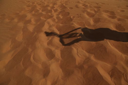 Dry sand in the desert