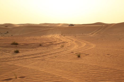 Dry sand in the desert