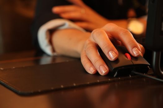 Computer Mouse in a hand