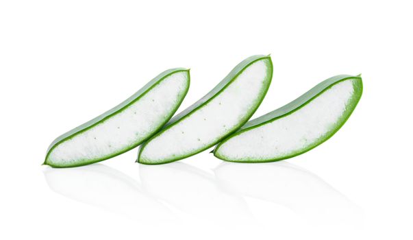 Aloe vera with slice isolated on white background, herb and medical